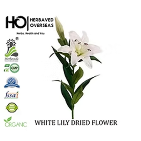 Activated Charcoal 5