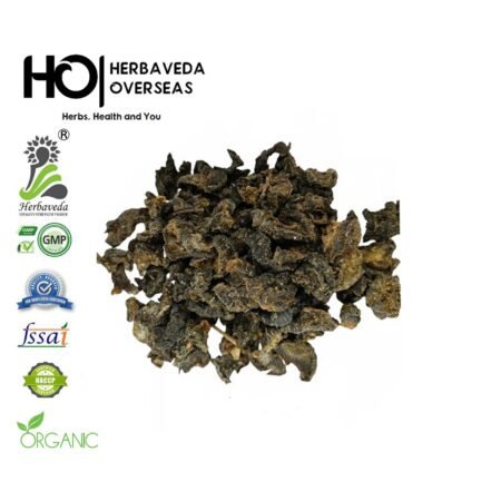 Amla / Phyllanthus emblica