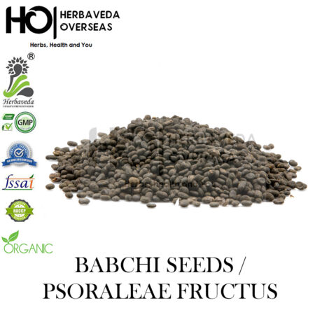 Babchi / Psoralea corylifolia