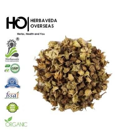 Gokhru / Tribulus terrestris