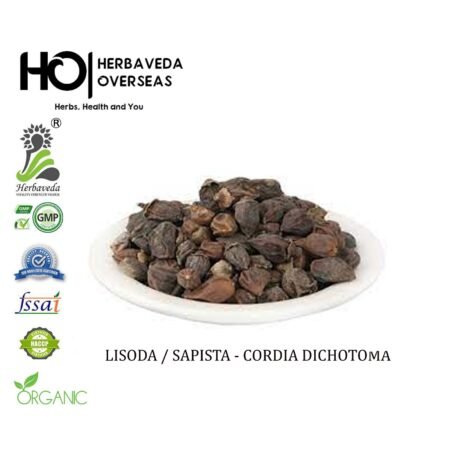 Lisoda (Shleshmataka) / Cordia dichotoma