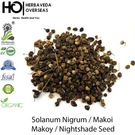 Makoy (Dried Plant) / Solanum nigrum