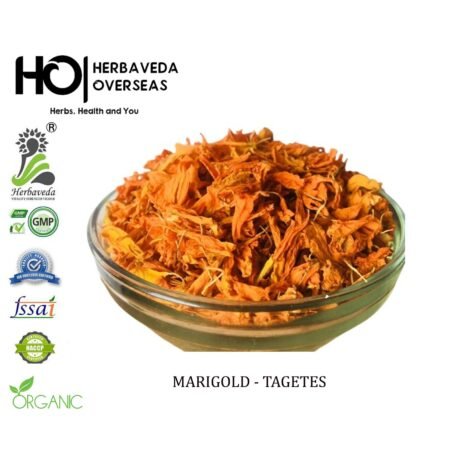 Marigold (Genda) / Tagetes erecta
