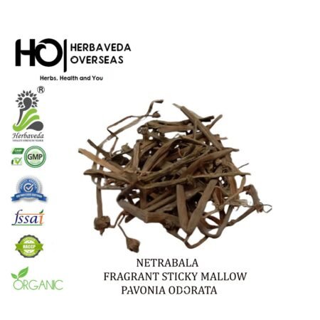 Netrabala (Hrivera) / Pavonia odorata