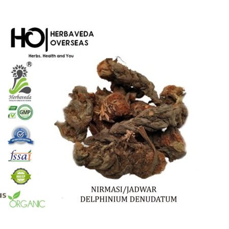 Nirmasi Root (Jadwar) / Delphinium denudatum