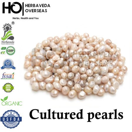 Pearl (Moti) / Pinctada margaritifera