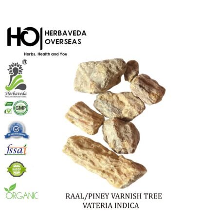 Raal (Sal Tree Resin) / Shorea robusta