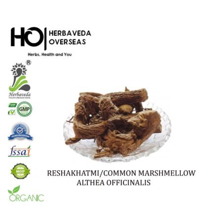 Reshakhatmi (Marshmallow Root) / Althaea officinalis