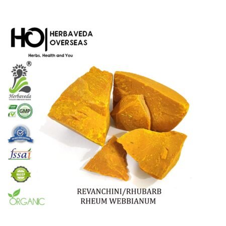 Revand Chini (Indian Rhubarb Root) / Rheum emodi