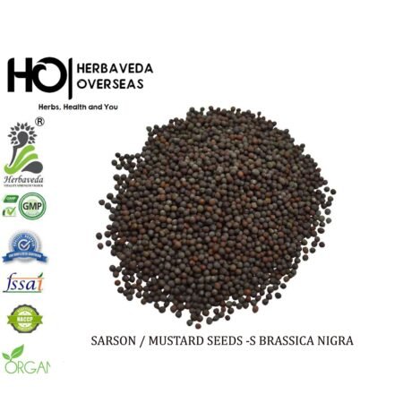 Sarson (Mustard Seeds) / Brassica campestris