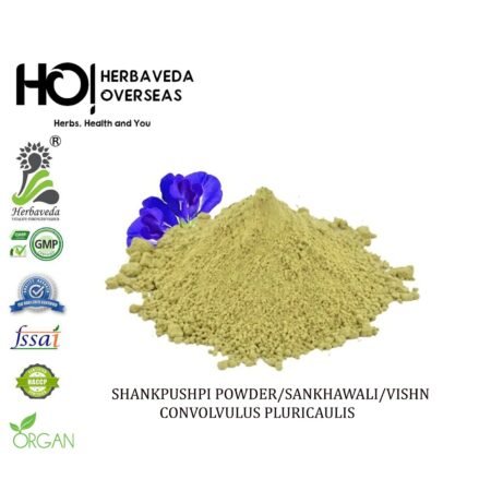 Shankhpushpi / Convolvulus pluricaulis