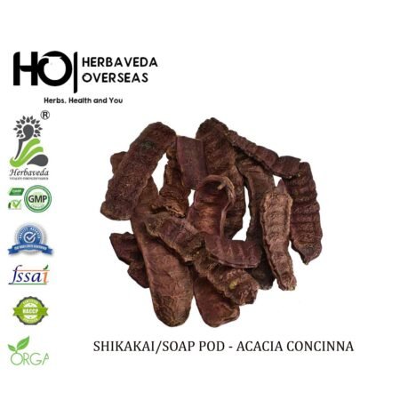 Shikakai / Acacia concinna