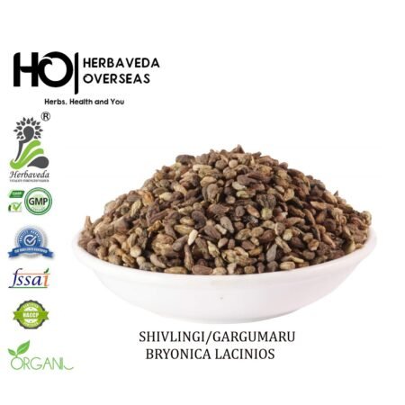 Shivlingi Beej / Bryonia laciniosa