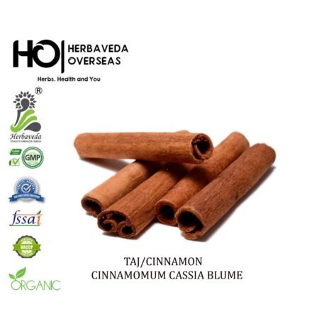 Taj (Cinnamon Bark) / Cinnamomum zeylanicum