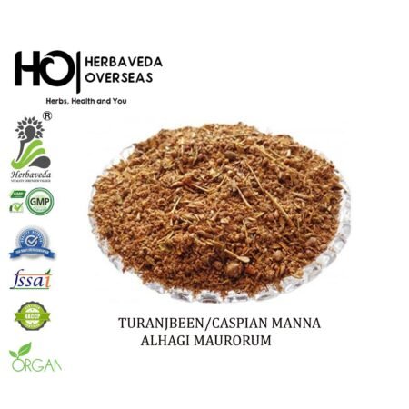 Turanjabeen (Persian Manna) / Alhagi maurorum