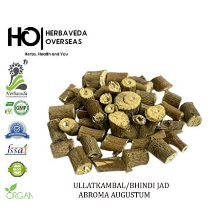 Ulatkambal (Devil's Cotton Root) / Abroma augusta