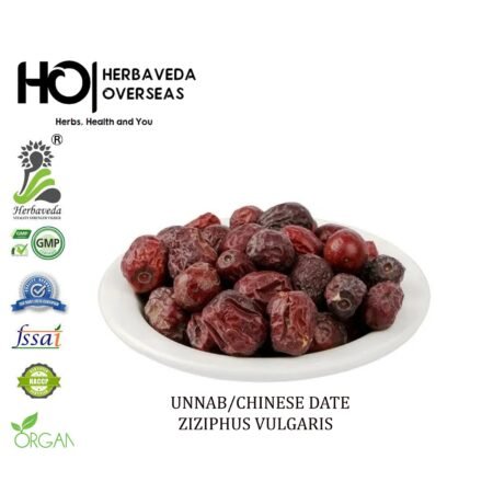 Unnab (Jujube Fruit) / Ziziphus jujuba