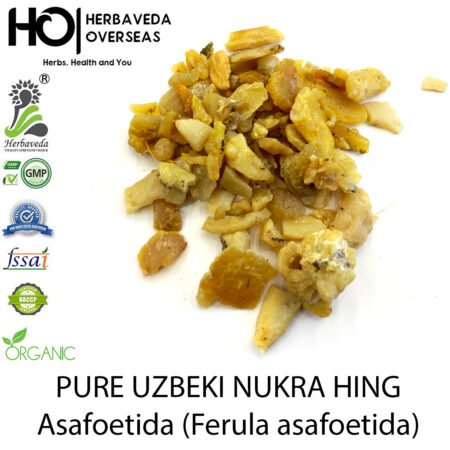Uzbeki Hing (Premium Asafoetida) / Ferula assa-foetida