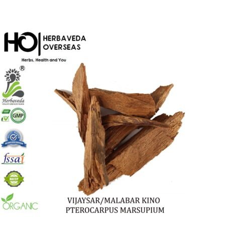 Vijaysar (Indian Kino Tree Wood) / Pterocarpus marsupium