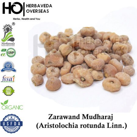 Zarawand (Birthwort Root) / Aristolochia longa