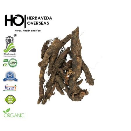 Anjwar / Polygonum viviparum