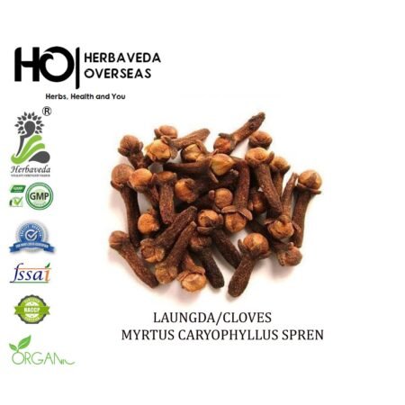 Laungda (Cloves) / Syzygium aromaticum
