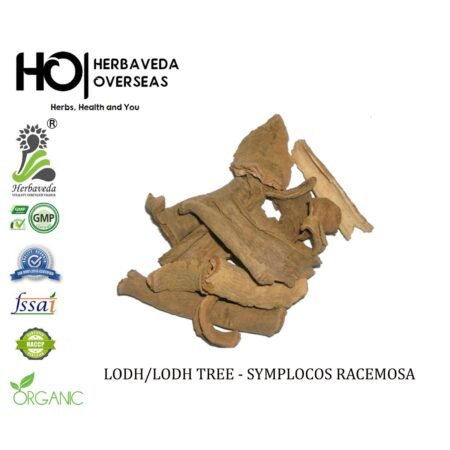 Lodh Pathani Bark / Symplocos racemosa