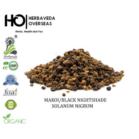 Makoi (Black Nightshade) / Solanum nigrum