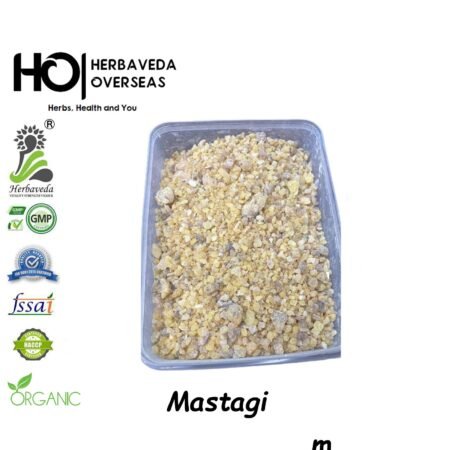 Mastagi Rumi (Mastic Gum) / Pistacia lentiscus
