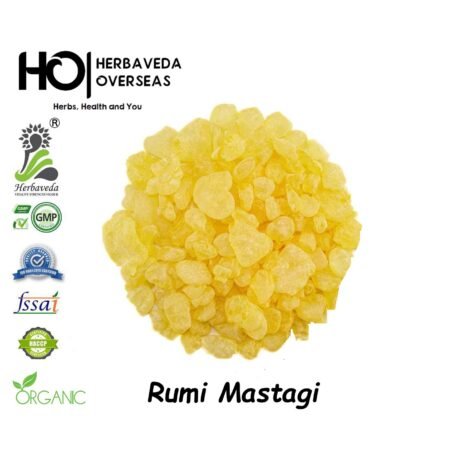 Mastagi (Mastic Resin) / Pistacia lentiscus