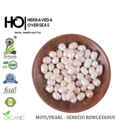 Moti (Pearl) / Pinctada margaritifera