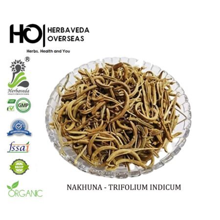 Nakhuna / Astragalus hamosus