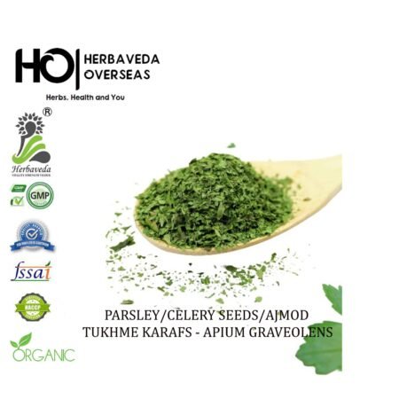 Parsley / Petroselinum crispum