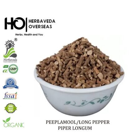 Piplamool (Long Pepper Root) / Piper longum