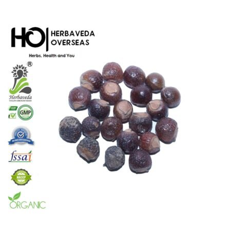 Reetha (Soapnut) / Sapindus mukorossi