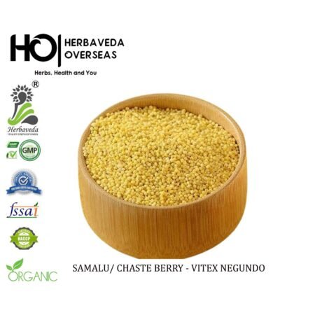 Samalu (Little Millet) / Panicum sumatrense
