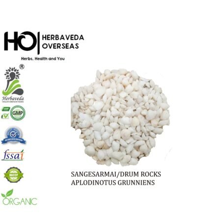 Sang-e-Sarmahi (Fish Stone) / Lithotriptic Mineral