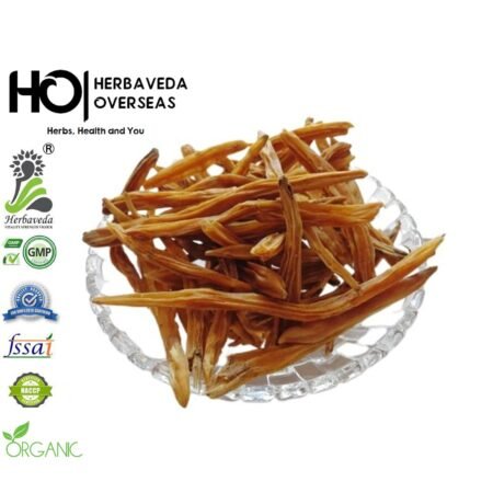Shatavari (Wild Asparagus) / Asparagus racemosus