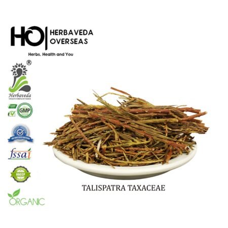 Talispatra / Abies webbiana