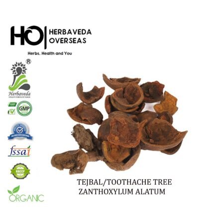 Tejbal (Toothache Tree Bark) / Zanthoxylum alatum