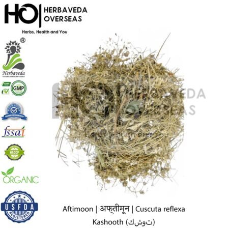 Aftimoon | अफ्तीमून | Cuscuta reflexa