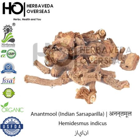 Anantmool (Indian Sarsaparilla) | अनन्तमूल | Hemidesmus indicus