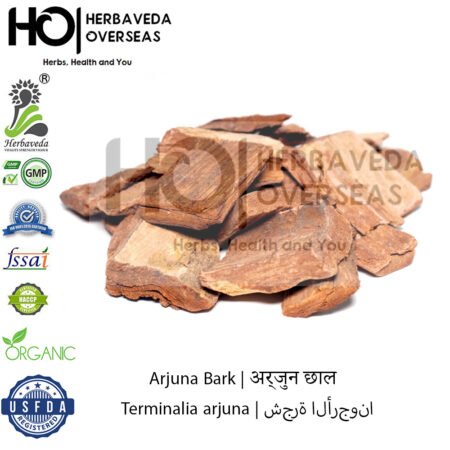 Arjuna Bark | अर्जुन छाल | Terminalia arjuna