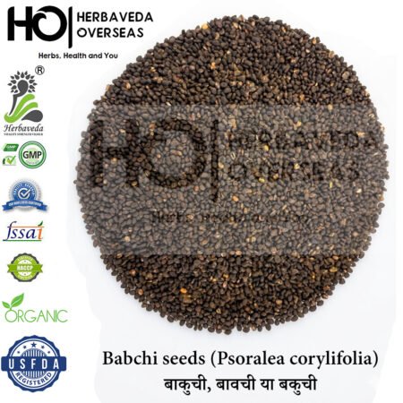 Babchi Seeds (Bakuchi) | बाकुची | Psoralea corylifolia