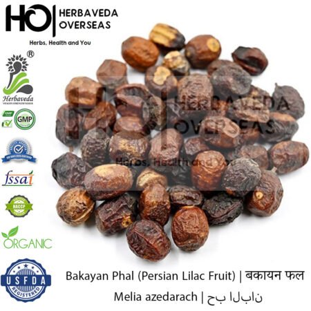 Bakayan Phal (Persian Lilac Fruit) | बकायन फल | Melia azedarach