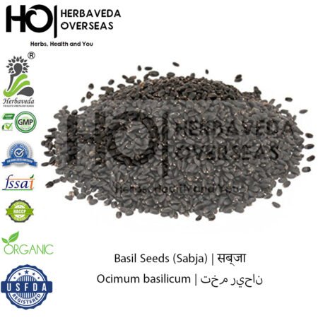 Basil Seeds (Sabja) | सब्जा | Ocimum basilicum