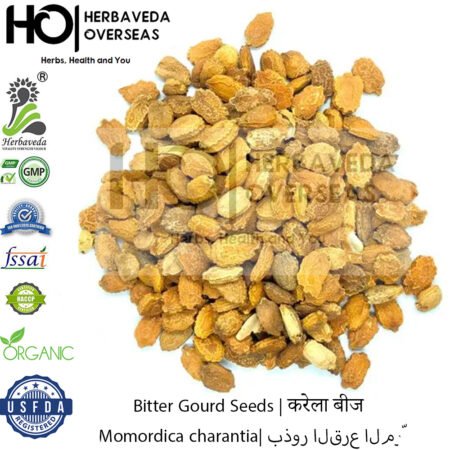Bitter Gourd Seeds | करेला बीज | Momordica charantia