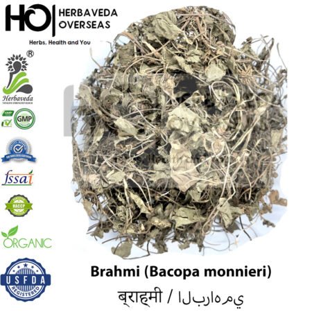 Brahmi | ब्राह्मी | Bacopa monnieri