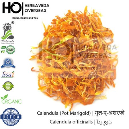 Calendula (Pot Marigold) | गेंदा | Calendula officinalis