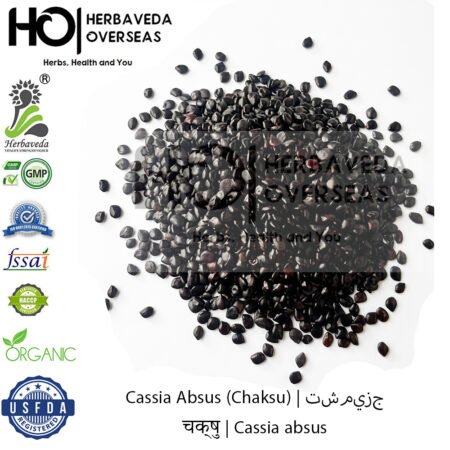 Chasku (Desert Cassia) | चाकसू | Cassia absus
